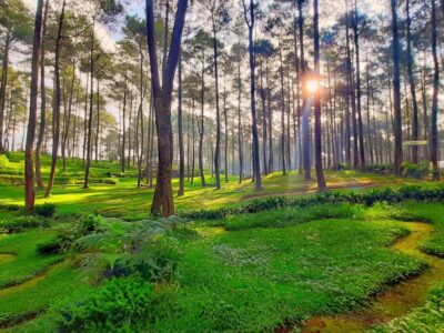 LEMBANG, Green Grass Camp Ground